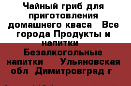 Чайный гриб для приготовления домашнего кваса - Все города Продукты и напитки » Безалкогольные напитки   . Ульяновская обл.,Димитровград г.